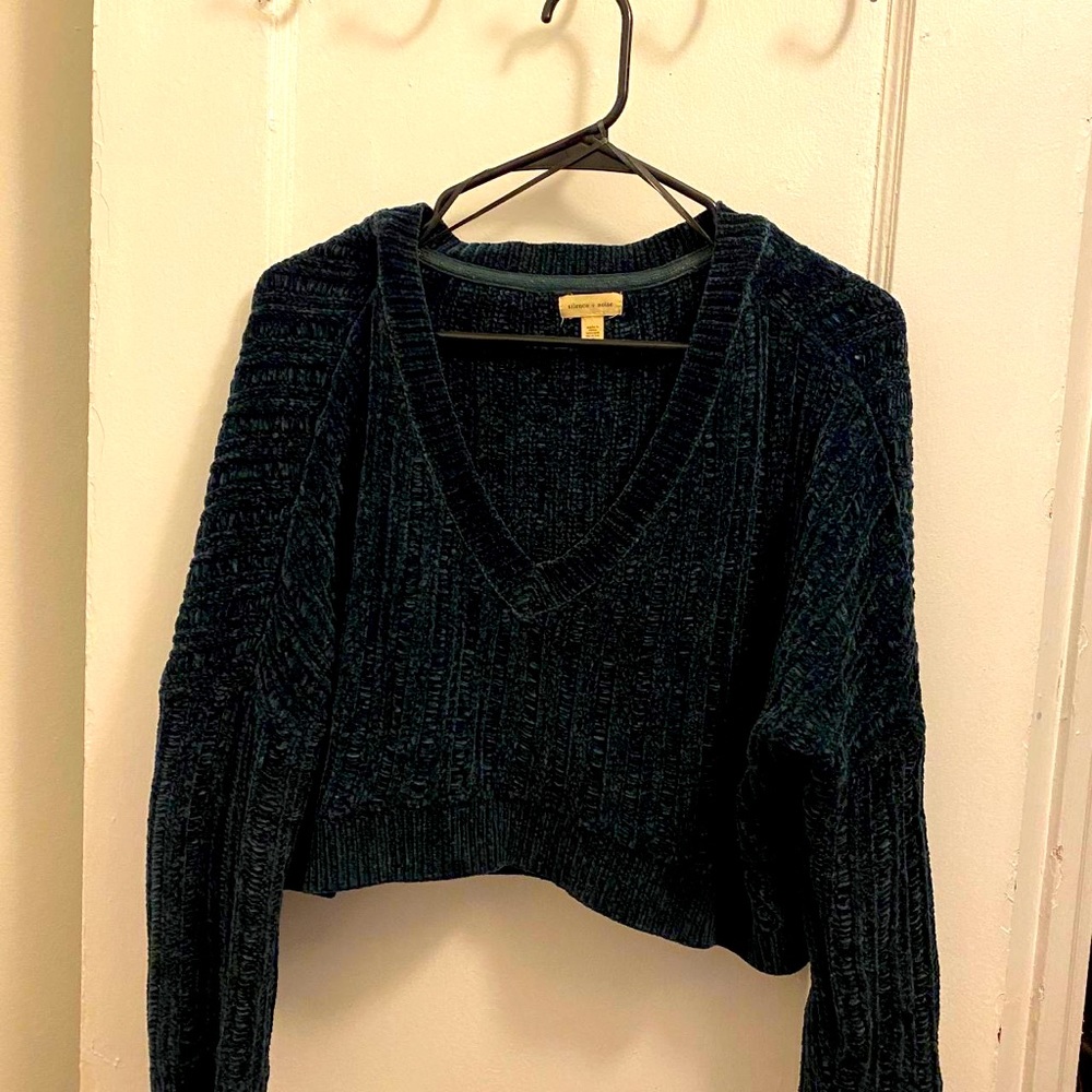Silence + Noise Green Velvet Crop Sweater
